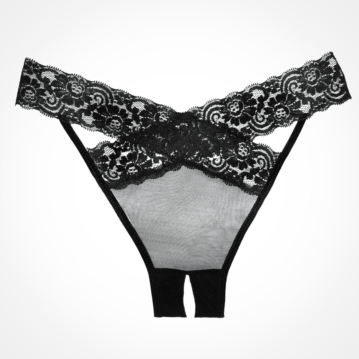 Allure Adore Sheer & Lace Desire Panty