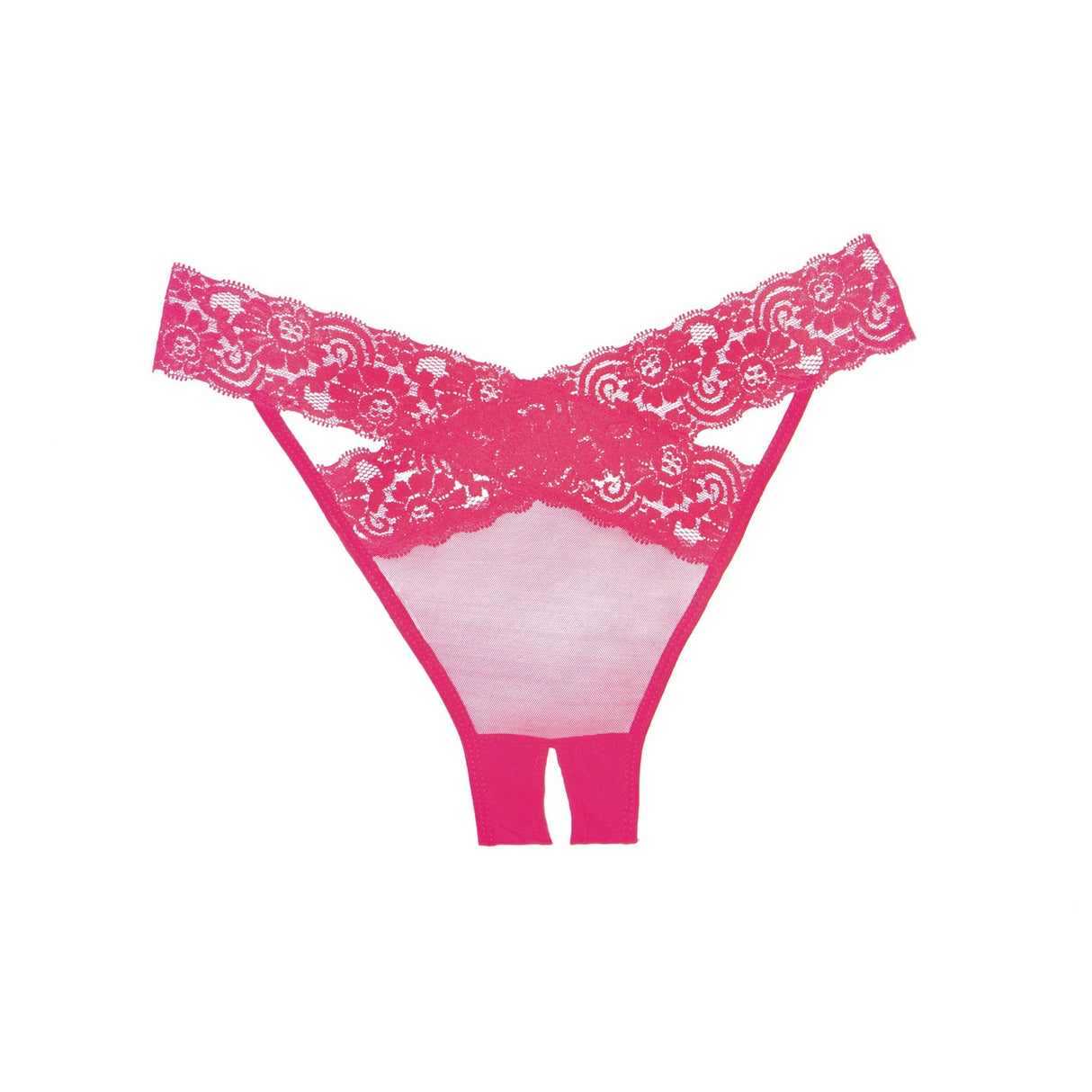 Allure Adore Sheer & Lace Desire Panty