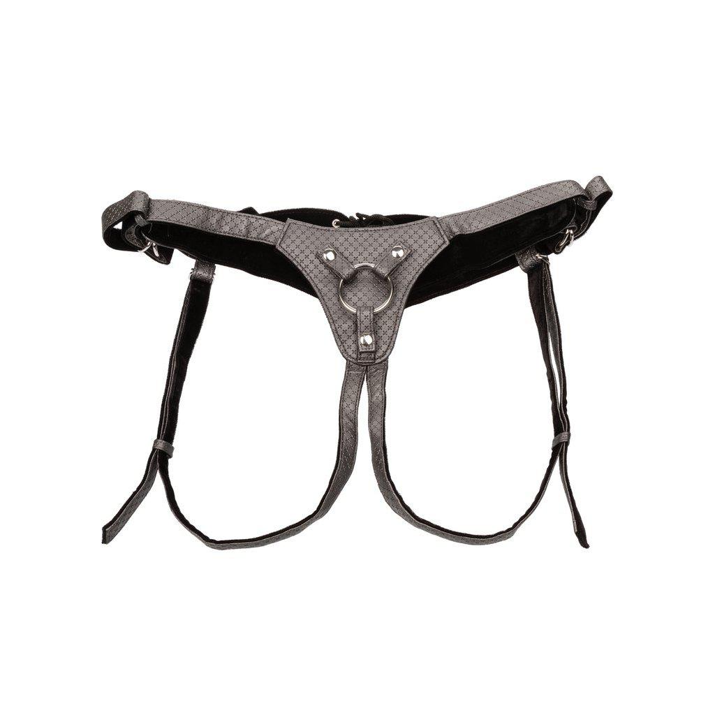 Her Royal Harness The Regal Queen