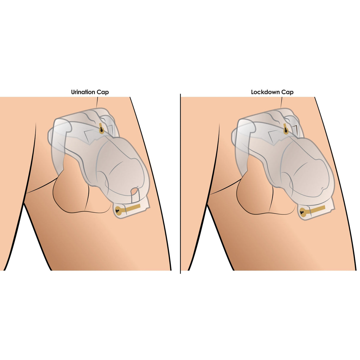 Lockdown Customizable Chastity Cage