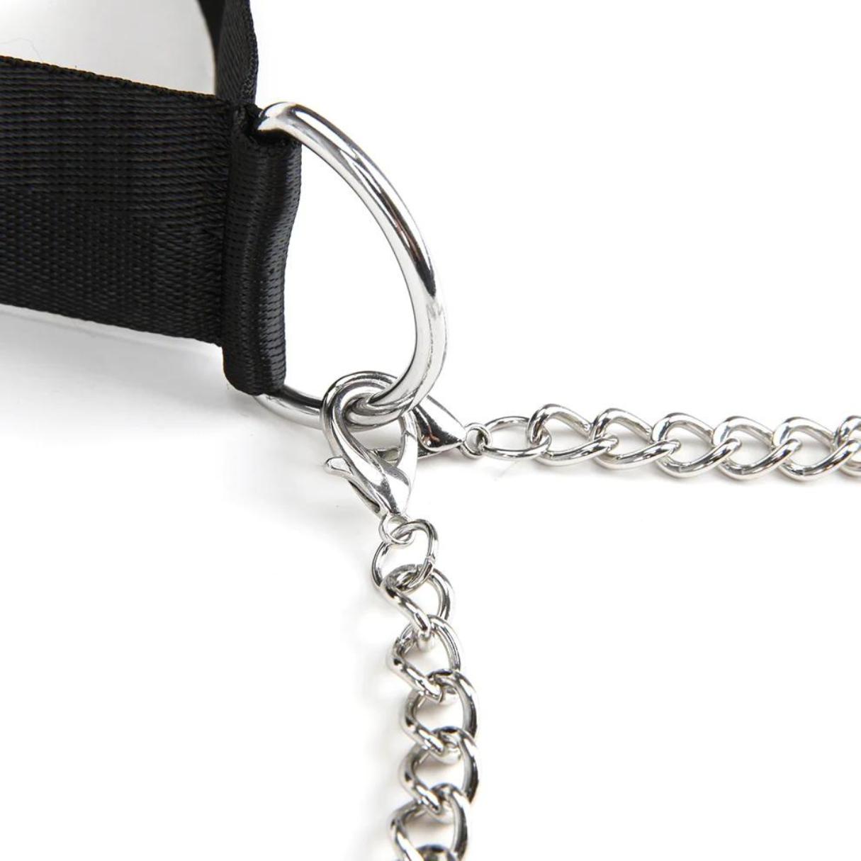 Lux Fetish Collar & Nipple Clamps