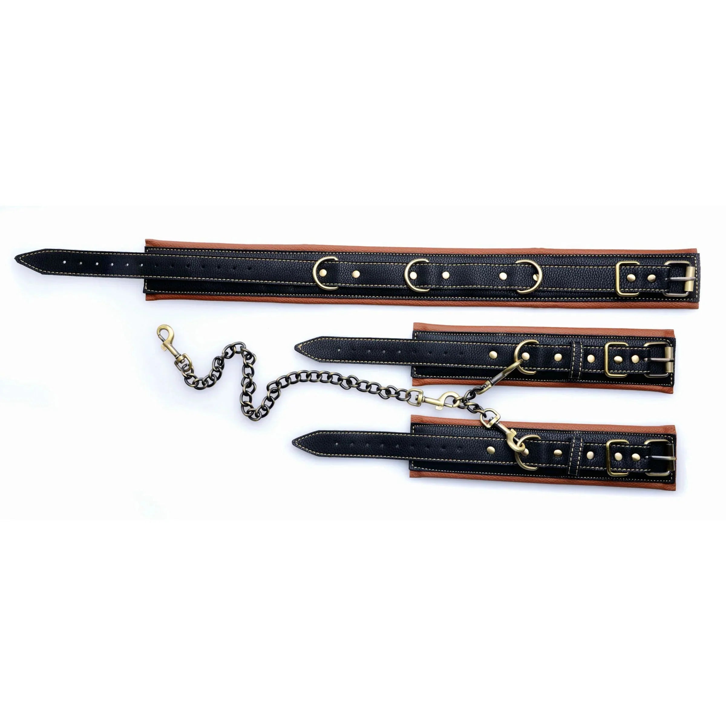 Master Series Coax Collar To Wrist Restraints