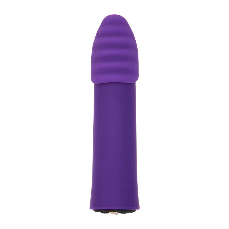 Point Plus Rechargeable Bullet Vibrator with Textured Tips