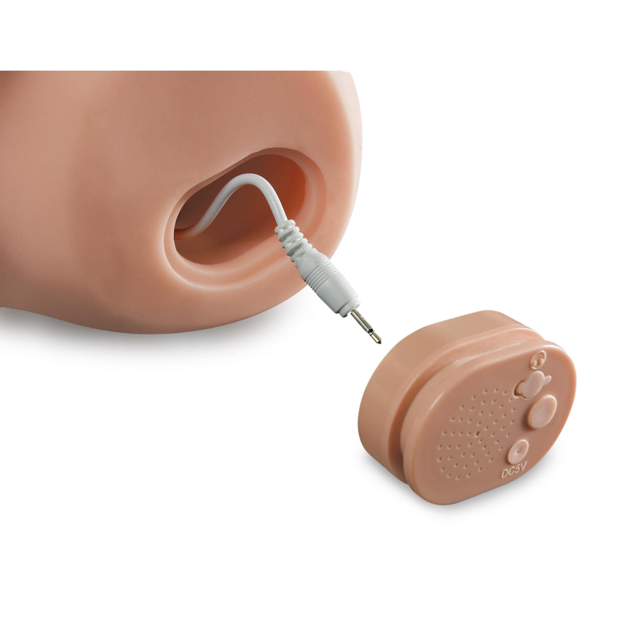 PDX Dirty Talk Interactive F**k My Cock