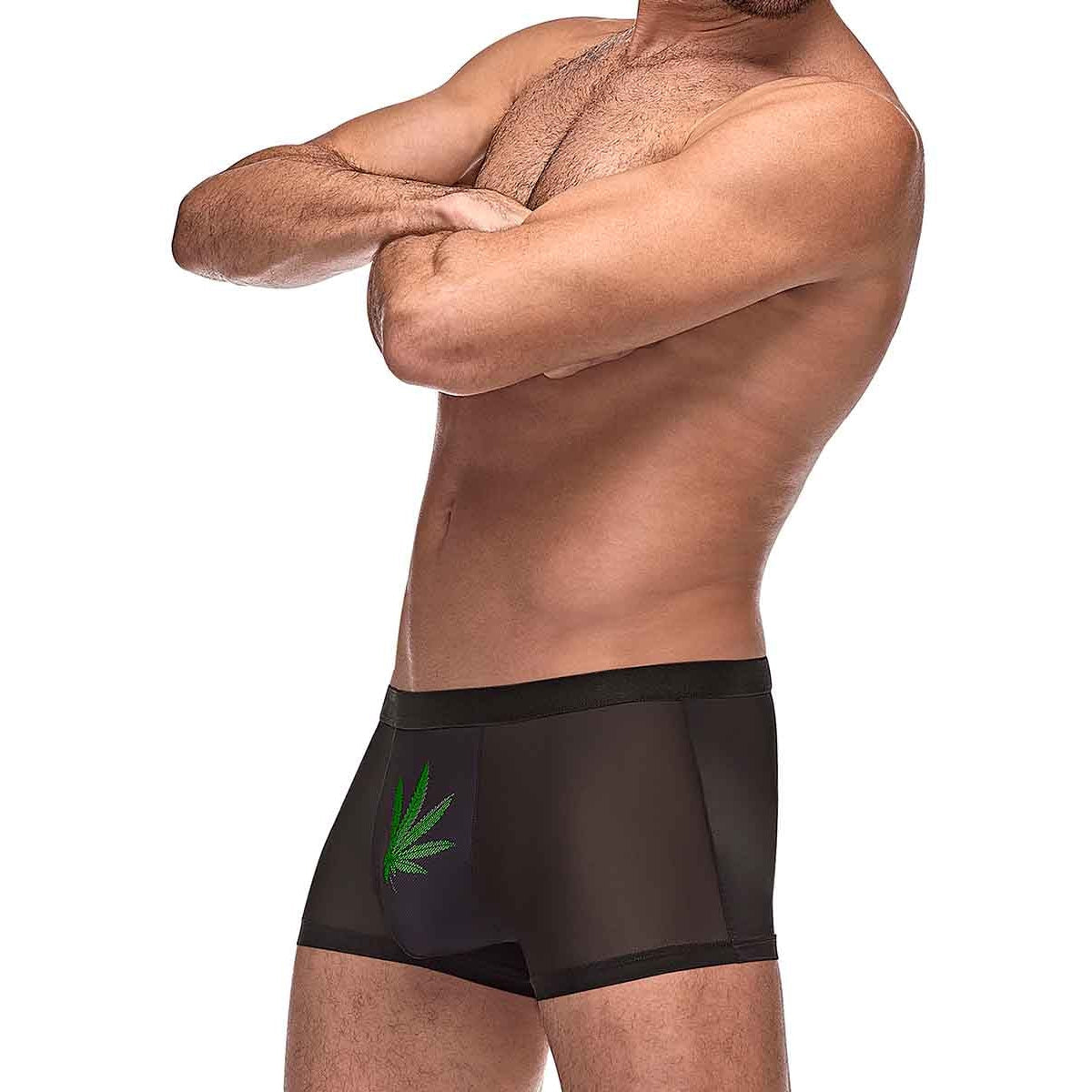 Private Screening Micro Mesh & Modal Pot Leaf