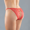 Allure Adore Lace Enchanted Belle Panty
