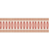 Asa Akira Pocket Pussy