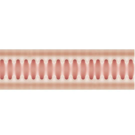 Asa Akira Pocket Pussy