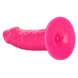 Back End Chubby Suction Cup Dildo