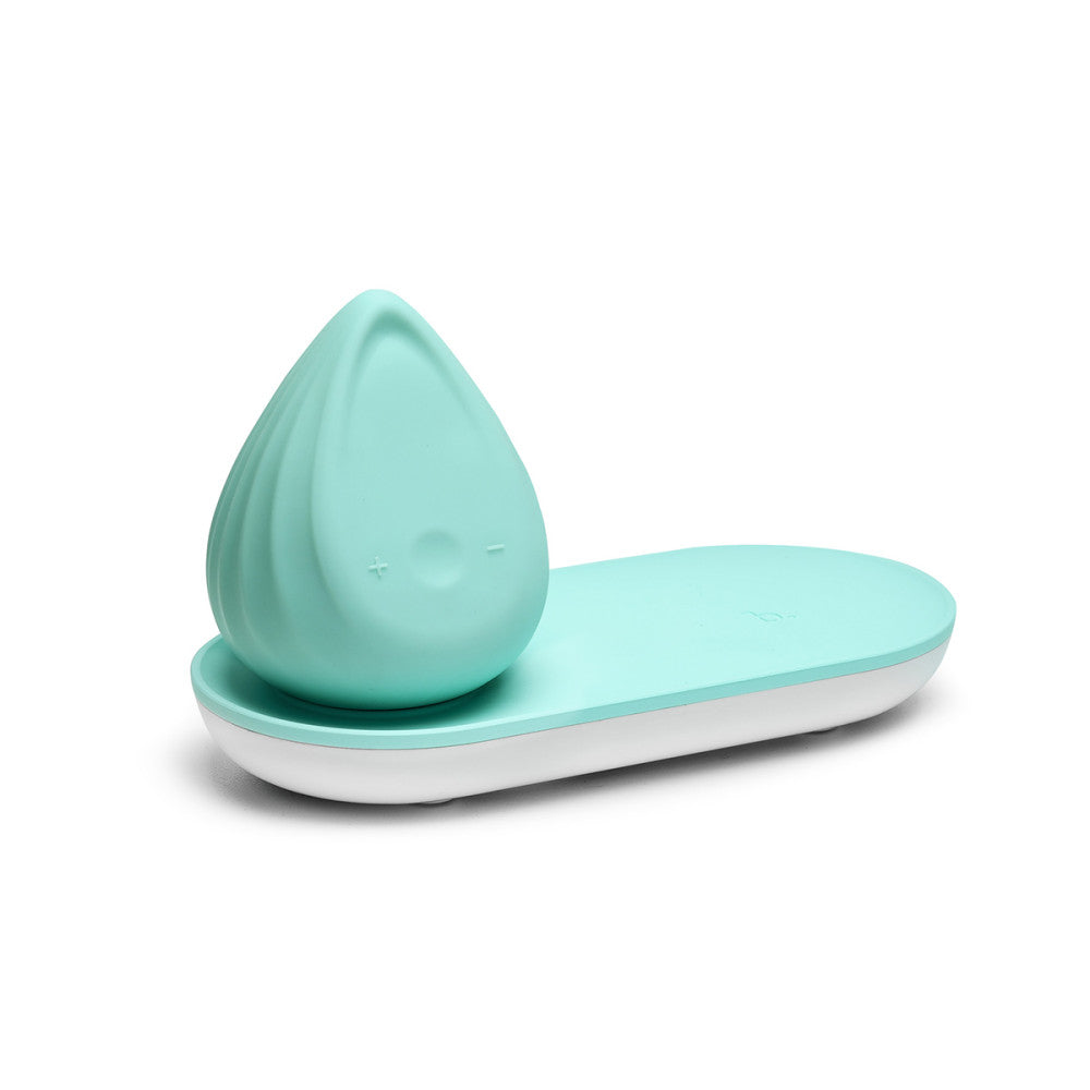 Biird Evii Silicone Vibrator