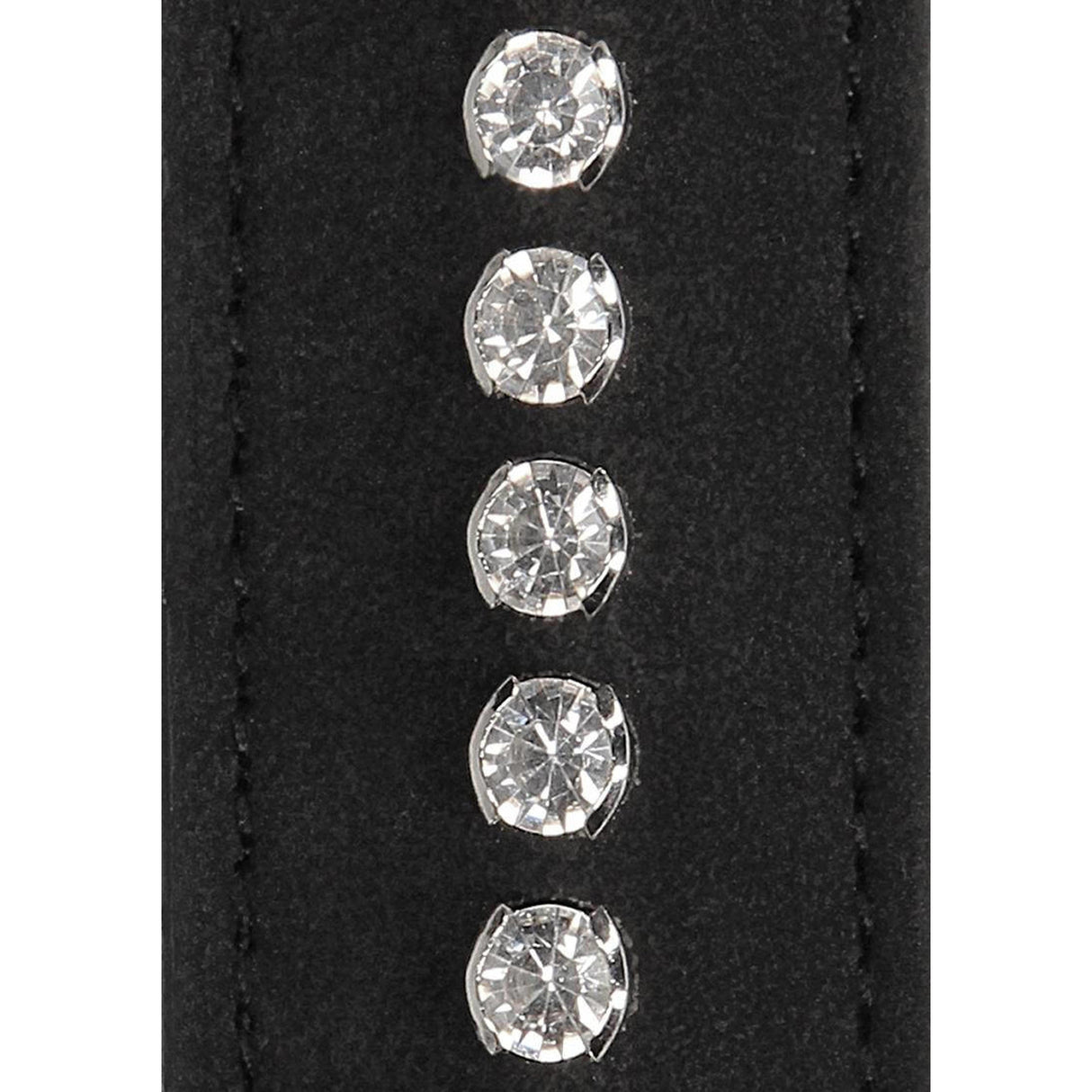 Diamond Studded Collar with Leash