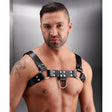 English Bull Dog Leather Chest Harness