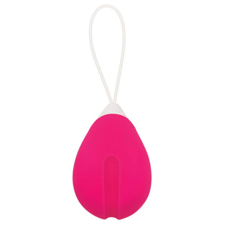 Evolved Remote Control Egg Vibe