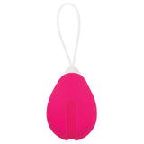 Evolved Remote Control Egg Vibe