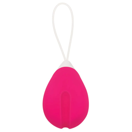 Evolved Remote Control Egg Vibe