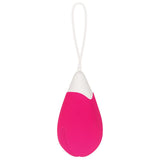 Evolved Remote Control Egg Vibe