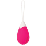 Evolved Remote Control Egg Vibe
