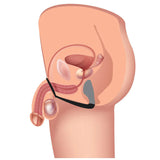 Explorer 2 Cock Ring Prostate Massager