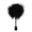Feather Tickler in a Bag