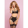 Galloon Lace & Microfiber Bra Set