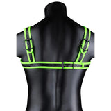 Glow in the Dark Buckle Harness