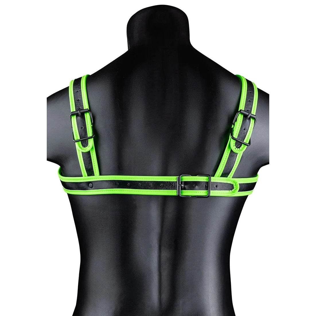 Glow in the Dark Buckle Harness