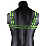 Glow in the Dark Buckle Harness