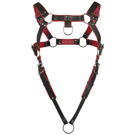 Heathen's Male Body Harness