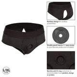 Her Royal Harness Backless Brief