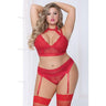 Lace & Netting Long Line Bra Set