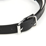 Lux Fetish Breathable Gag with Nipple Clamp