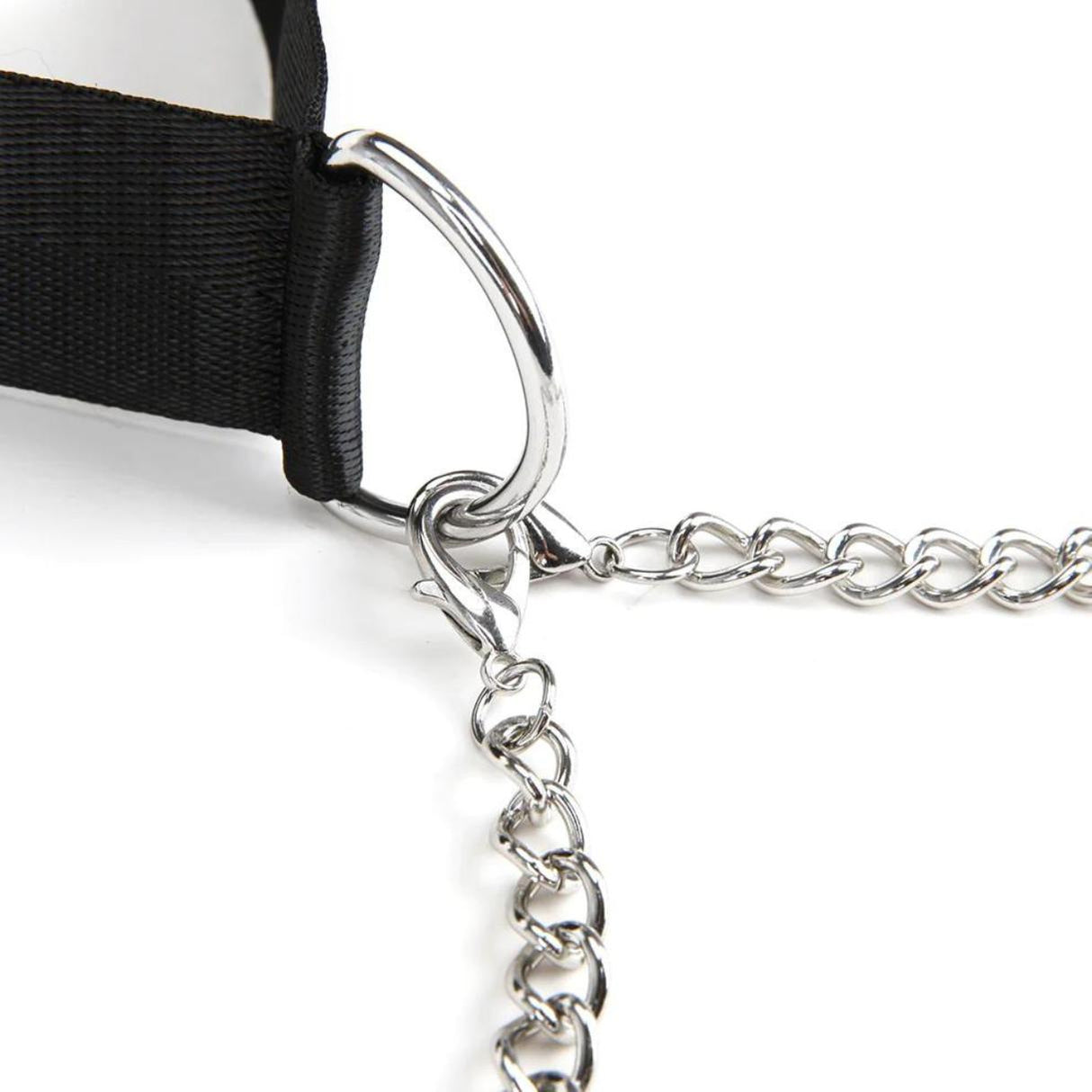 Lux Fetish Collar & Nipple Clamps