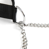 Lux Fetish Collar & Nipple Clamps