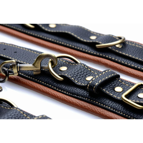 Master Series Coax Collar To Wrist Restraints