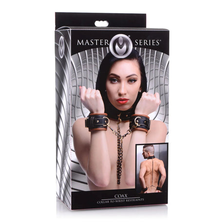 Master Series Coax Collar To Wrist Restraints