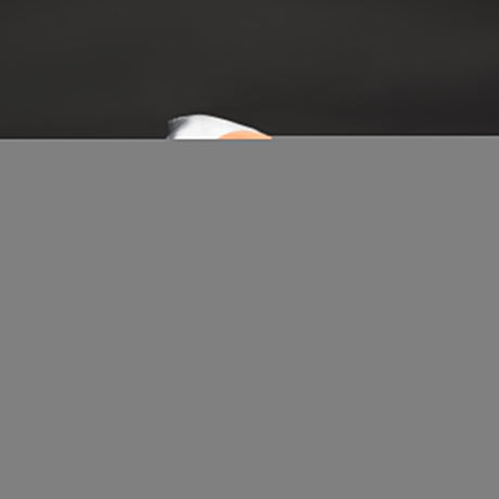 MistressMale Sex Partner with Thrusting Dildo