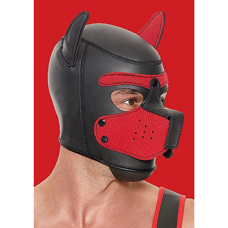 Neoprene Puppy Hood