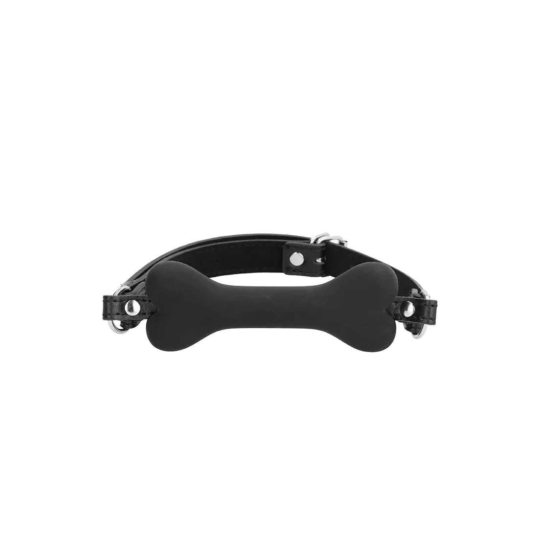 Neoprene Puppy Kit