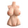 PDX Plus Perfect 10 Torso
