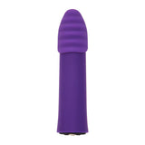 Point Plus Rechargeable Bullet Vibrator with Textured Tips