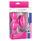 Remote Dual Motor Kegel System
