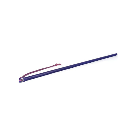 Spartacus 24 Inch Leather Wrapped Cane