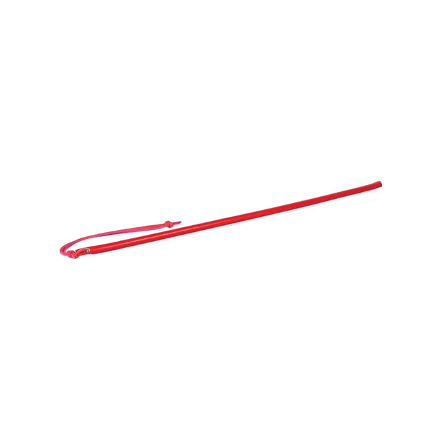 Spartacus 24 Inch Leather Wrapped Cane
