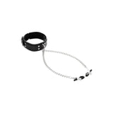 Sportsheets Collar with Nipple Clamps