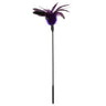 Sportsheets Starburst Feather Body Tickler