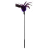 Sportsheets Starburst Feather Body Tickler