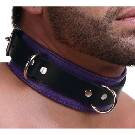 Strict Leather Deluxe Black and Purple Locking Collar