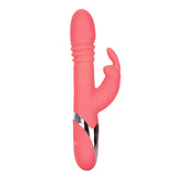 Enchanted Exciter Thrusting Rabbit Vibe