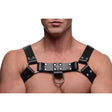 English Bull Dog Leather Chest Harness with Cock Strap