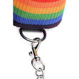 Kinky Pride Rainbow Bondage Set